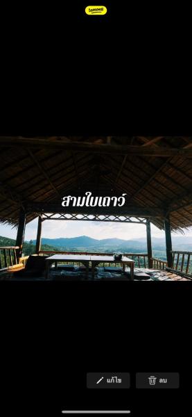 ลานกางเต็นท์&โฮมสเตย์สวนสามใบเถาว์